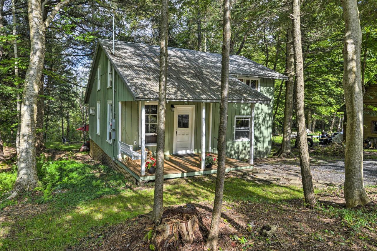 Adirondacks Cabin With Fire Pit On Otter Lake! Forestport Exteriér fotografie